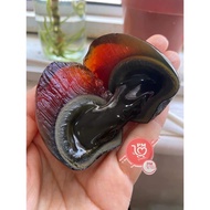 【READY STOCK】Macau Tong Sum Century Egg /Century Duck Egg/澳门溏心皮蛋/皮蛋