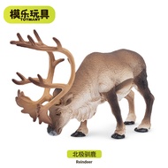 Children Toy Animal Model TOYMANY Polar Simulation Animal Arctic Reindeer Elk