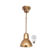 EELIC LHG-101 CLASSIC HANGING DECORATIVE LAMP WITH FLEXIBLE POLE MIX 1 5 WATT LED LAMP LAU-Z5W