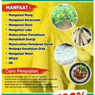 Pati Garut, Umbi Garut, Tepung Garut obat asam lambung maag gerd