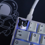 Cat Keycap - Cat Keyboard Button - Black Cat - African Wild Cat