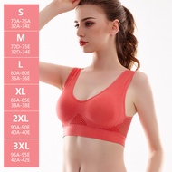 Bra Sport Wanita Jumbo Bh Sport Wanita Dewasa BH Sport Bra tanpa Kawat Bra Olahraga Hollow Busa Pus