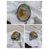 Solomon agate combong exclusive and character pitcher plant