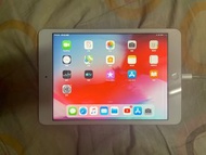 iPad Mini 2 16gb
