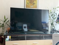 飛利浦65寸電視機