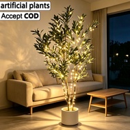 Large Premium Artificial Olive Tree with Lights 120/160/180CM Pokok Hiasan Tall Faux Indoor
