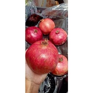 Malaysia Stock buah delima isi merah 1 biji