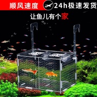 Fish Tank Pond Isolation Box Acrylic Guppy Golden Wave Fish Parrot Fish Separation Box Incubator Fry