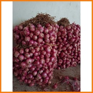 ∽ ▪ ∈ 1 kg lasona native sibuyas red onion from ilocos
