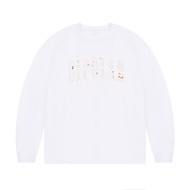 เสื้อสเวตเตอร์คอกลมแขนยาวปักลายสไตล์อเมริกัน BIPOLAR สำหรับผู้ชายและผู้หญิง ฤดูใบไม้ผลิและฤดูใบไม้ร่