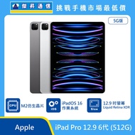   Apple 平板 iPad Pro 12.9 6代 (512G)