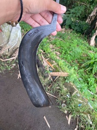 Arit deres balik mipih