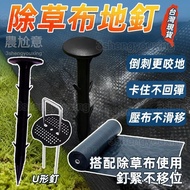 Plastic Floor Nails 13H Shipment From Taiwan Cloth Orchard Black Greenhouse Film Gardening Weeding L