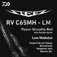 DAIWA ROD 2025 STEEZ RV BAITCASTING ROD
