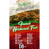 ▲❀NARRA TREE QUALITY SEEDS 6 SEEDS