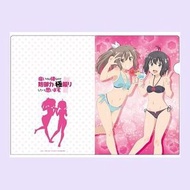 怕痛的我，把防禦力點滿就對了 - 梅普露 / 莎莉 A4 文件套