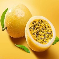 Biji Benih Pokok Markisa/ Passion Fruit Seed /进口红黄百香果种子 15 seed per pack//Yellow passion fruit