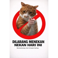 CAT LOVER ACCESORIES TESTING PRODUCT ONLY