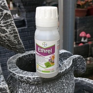ETHREL 480SL 100ml ZPT Pematang Buah Pisang