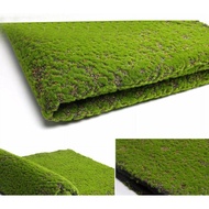 Artificial Moss Carpet 2M by 1M Artificial Lawn Fake Grass Artificial Green Plant Decoration Bonsai 