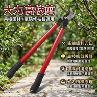 Farmer's Graceful💕High Branch Shears Garden Tool Shears High Branch Shears Fruit Branch Shears Branc