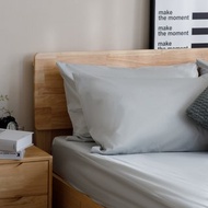 100%防水枕頭保潔墊/晨光綠/二入