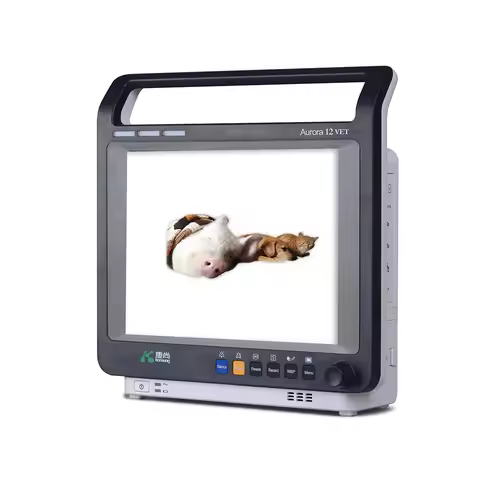 12.1 Inch Blood Pressure Patient Monitor Price Ecg SPO2 Vet Monitor with ETCO2 Option
