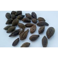 SERBUK BUAH CEKELI/LANGKAU (KELENTIT)