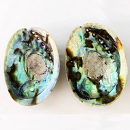 White Sage California 10cm4 นิ้ว เผาป่าสกัด น้ำมันหอมระเหย อบสดใหม่ ธรรมชาติ สวดมนต์ แห้ง ไม่มีส่วนผ