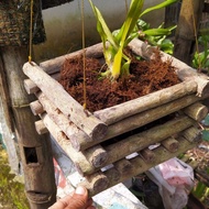 Promo Media Pot Anggrek Kayu Kopi