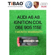 (TiBAO) AUDI A6C6 A6C7 A7 A8D3 A8D4 R8 Q7 958 970   IGNITION COIL ( 115E )