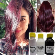(FREE bleach set) Direct red wine Hair Color Kit (10minutes )100ml+Free Bleach&Peroxide(100ml) dye m