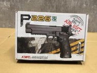 KWC P226 s5