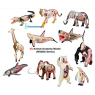 4D MASTER Wildlife Animal Anatomy Tiger Crocodile Giraffe Whale Dolphin Elephant Model, Veterinary S