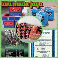 Bibit Benih Kecambah Sawit Varietas DxP PPKS SIMALUNGUN PELEPAH PENDEK isi 250 butir benih unggul