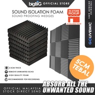 GoliveMic Wedge Sound Foam 30cm x 30cm x 2.5cm Absorption Panel Recording Studio Acoustic Foam Sound