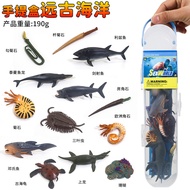 Simulation Boxed Ancient Ocean Parrot Snail Three-Leaf Cordyceps Ammonite Model Angled Stone Toy Pla