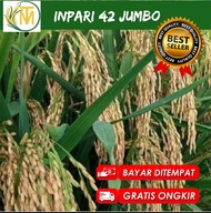 BIBIT INPARI 42 JUMBO kemasan 1 kg