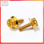 ☀ ♥️ HENG Motorcycle Front Cowling Bolt Kit - Gold & Silver Options for Mio Sporty, SoultY, Amore,