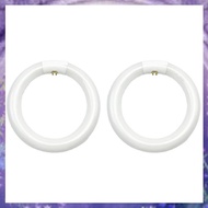 (GPBS) Circular Fluorescent Light Bulb Round T9 22W Circline Bulbs FC8T9/CW Light Bulb Replacement f