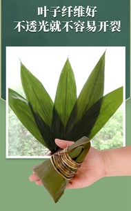 【Huadong store】(High Quality and Fast Delivery)Selected Large Dried Rice Dumpling Leaves Natural Bam