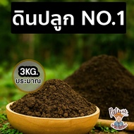 No.1 Soil Complete Nutrients Npk Ready To Plant Suitable For All Types Of Trees. Weight 3 Kilograms