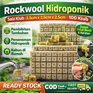 Rockwool 100 Cubes Aquaponic Germination Rockwool Hydroponic Rockwool with Holes Hydroponik Rockwool