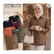 Ciena*****