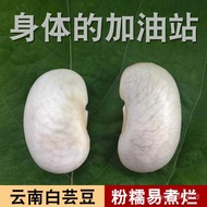新货云南大白芸豆1000克肾腰豆云豆种子大白豆白扁豆杂粮嚼阻断膳食纤 PGNB