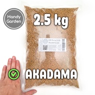 Akadama Đất Sét Nhật Bản size SS / S / M / L đất ươm trồng sen đá haworthia xương rồng bonsai trãi n