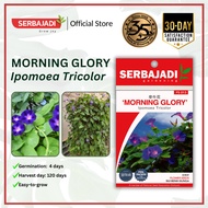 Serbajadi Flower Seed Hybrid Morning Glory/ Biji Benih Bunga FS013 - 1g