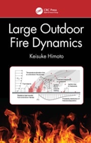 Large Outdoor Fire Dynamics Keisuke Himoto