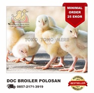 DOC Anak Ayam Broiler Grade Polos