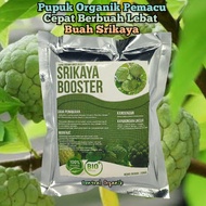 Pupuk Booster Srikaya Pelebat Organik Cepat Berbuah Lebat Pupuk Srikaya Cepat Besar Pupuk Srikaya Ju